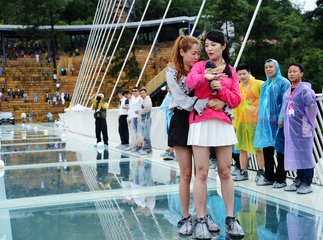 他的肌启示无码版